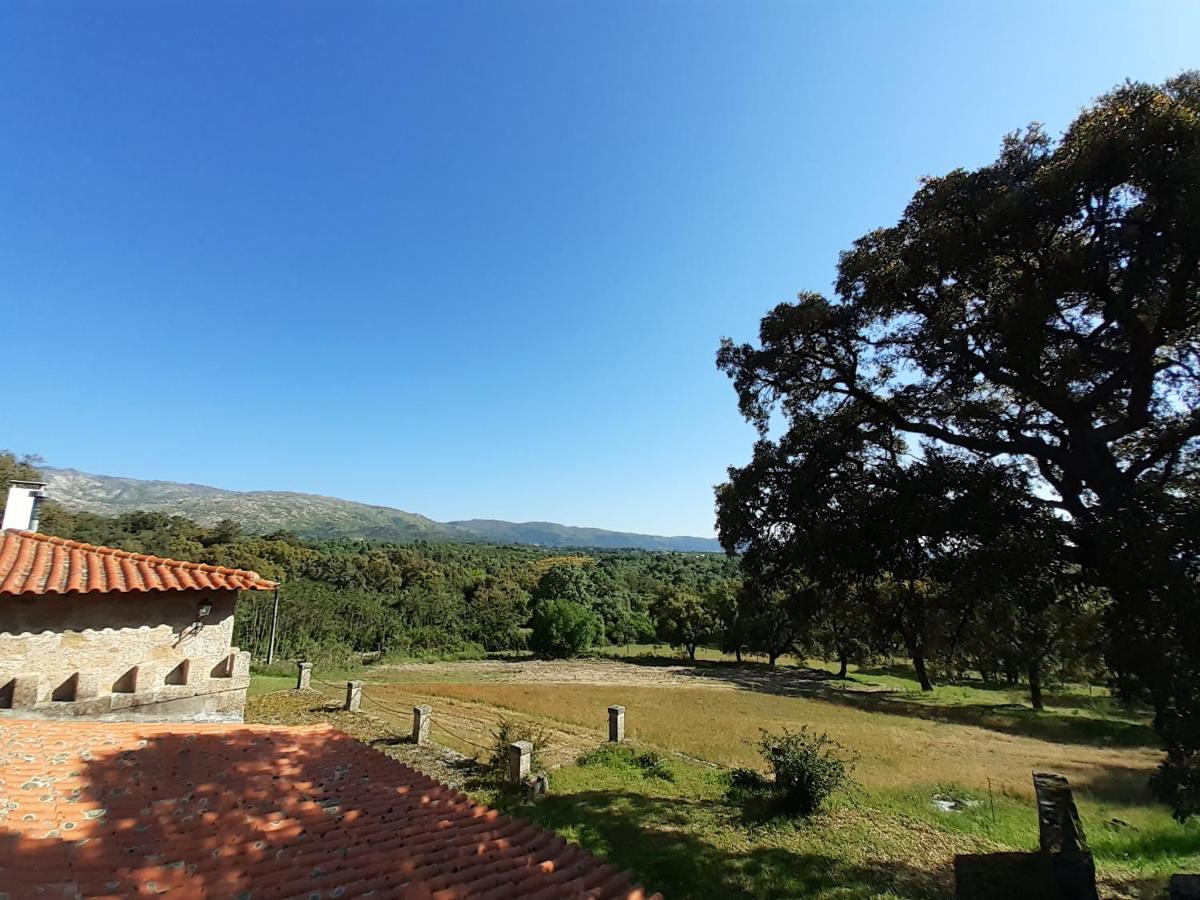 Villa Casa Da Vinha Castelo Novo Exterior foto