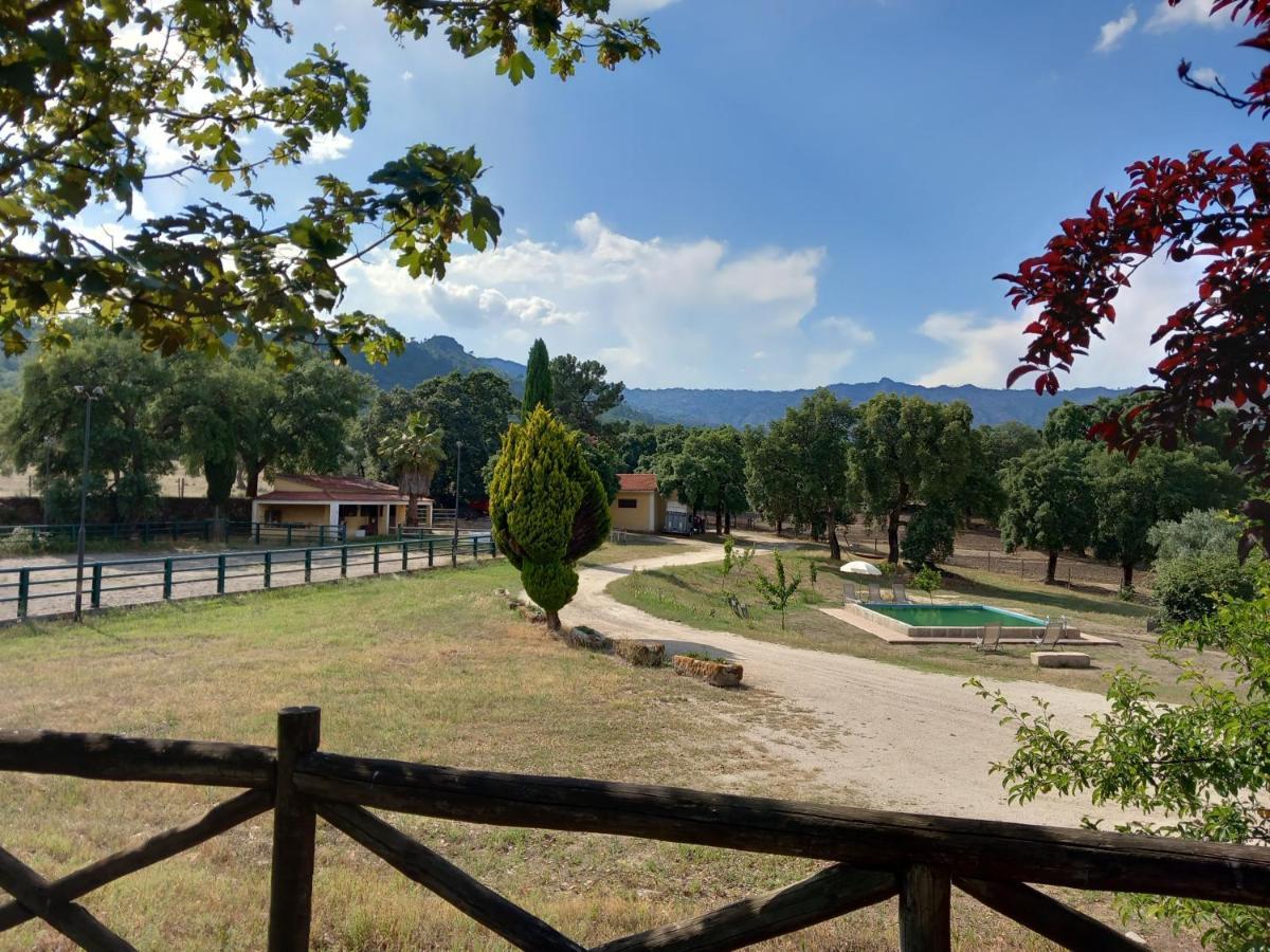 Villa Casa Da Vinha Castelo Novo Exterior foto