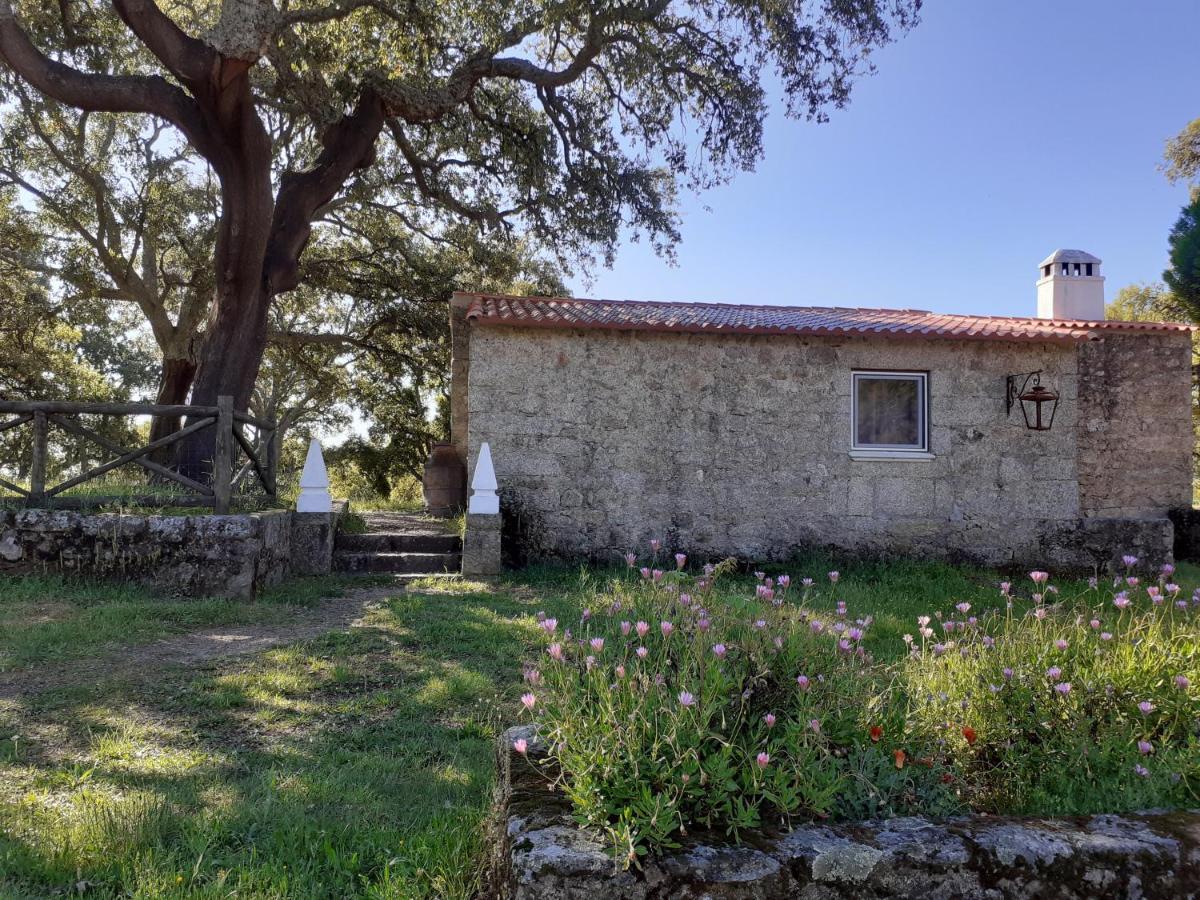 Villa Casa Da Vinha Castelo Novo Exterior foto