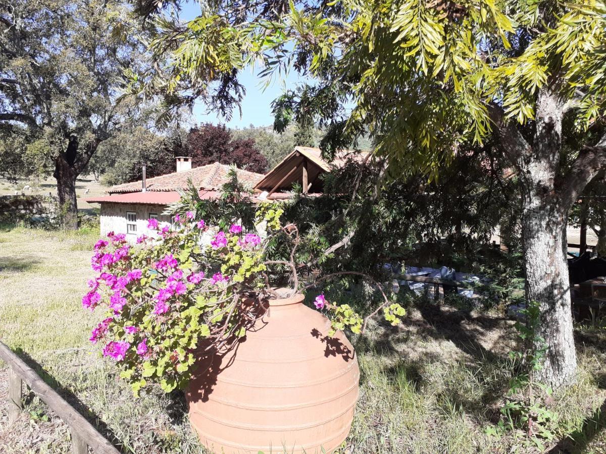 Villa Casa Da Vinha Castelo Novo Exterior foto