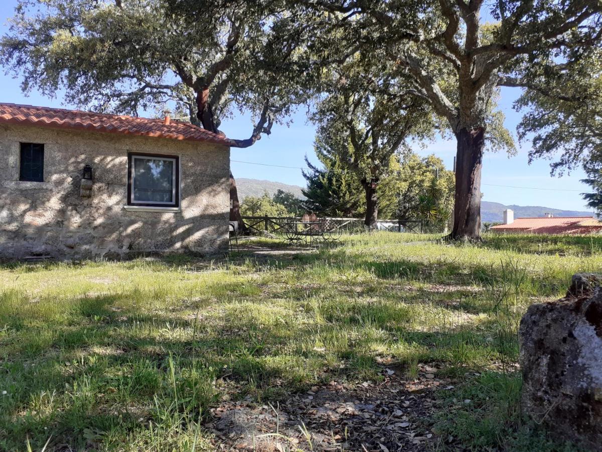Villa Casa Da Vinha Castelo Novo Exterior foto
