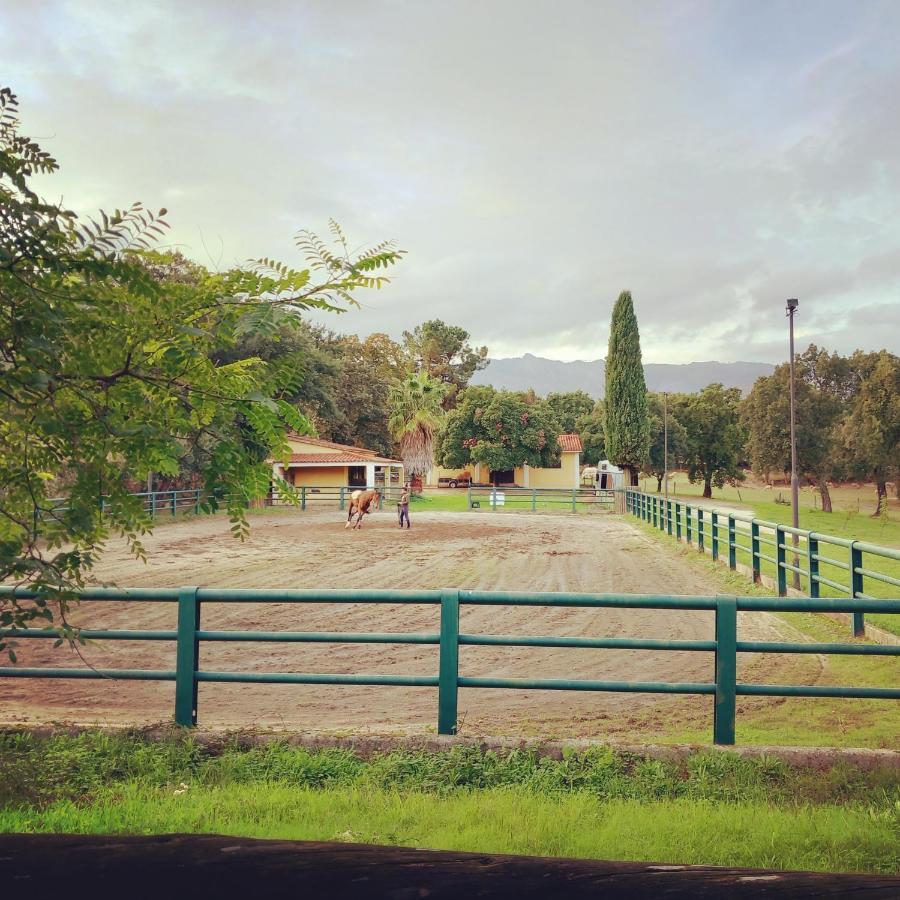 Villa Casa Da Vinha Castelo Novo Exterior foto